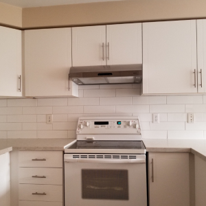 modern kitchen cabinets