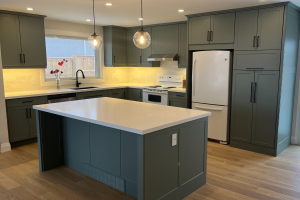 Celadon Super Matte on our Vermont Shaker cabinet door in the door style 2002 with 7 edge by Ridge Creek Construction.